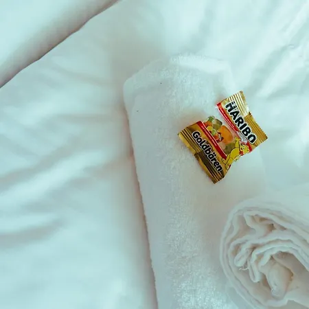 公寓 Modern Und Gemuetlich Ggue. Uni-passau, Tg-stellplatz, Balkon