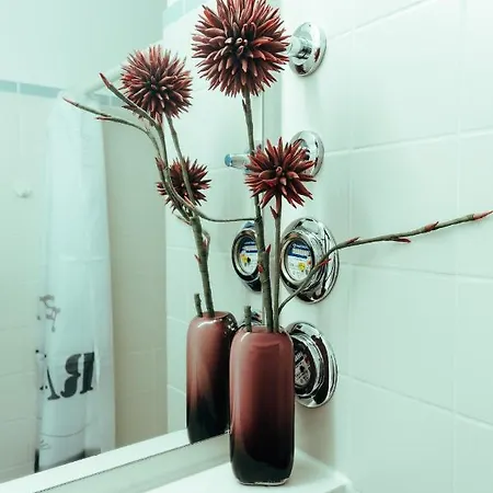 Apartment Modern Und Gemuetlich Ggue. Uni-passau, Tg-stellplatz, Balkon Passau